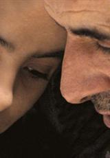 種子與騾子 種子與騾子