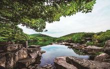 虎丘[蘇州市虎丘區]