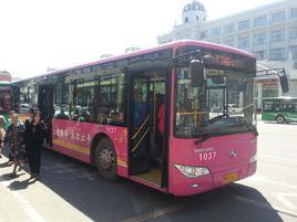 七台河公交24路 七台河公交24路