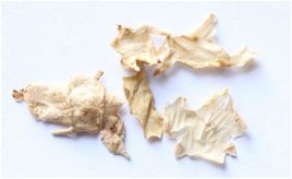 生薑皮 生薑皮