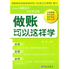 做賬可以這樣學 做賬可以這樣學