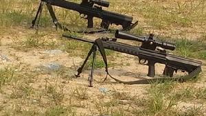 （圖）88式狙擊步槍