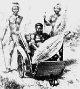 洛本古拉 洛本古拉