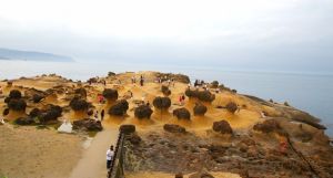 台灣野柳奇特的海蝕地貌