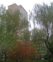 新文化街44號院