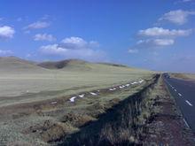 內蒙古錫林郭勒草原自然保護區