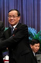 吳辰[上海市嘉定區人大常委會主任]