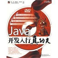 《JAVA開發入行真功夫》
