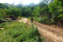 土橋村[雲南省宣威市西澤鄉土橋村]