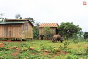 蒙多基里省 蒙多基里省