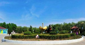 金鷺鴕鳥樂園 金鷺鴕鳥樂園