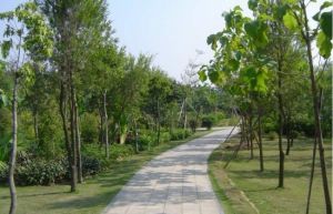 海濱生態公園 海濱生態公園