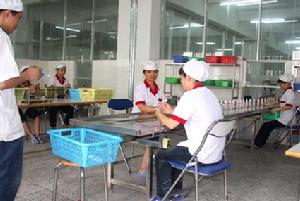 兩條現代化流水生產線