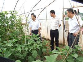 銅陵市人力資源和社會保障局 銅陵市人力資源和社會保障局