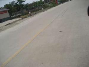 麗水芳林 麗水芳林