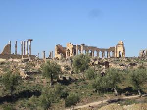 （圖）沃呂比利斯考古遺址