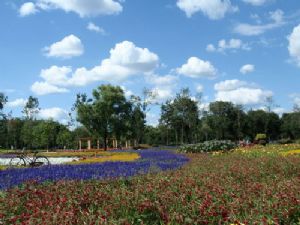 太陽島濕地公園