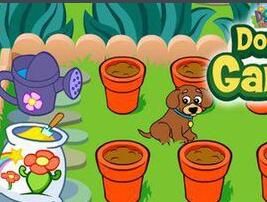 小狗種鮮花 小狗種鮮花