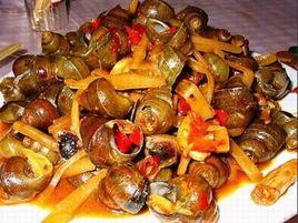 肝片吸蟲 肝片吸蟲