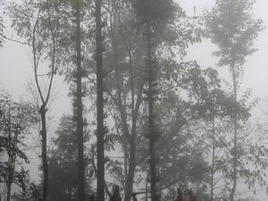 大竹山自然村 大竹山自然村