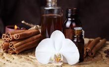 中藥精油 中藥精油
