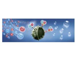 離子凝聚 離子凝聚