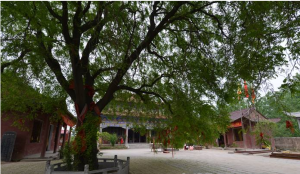 柘城縣炎帝朱襄陵