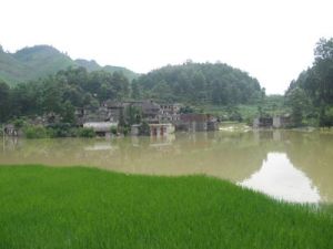 簸箕田村 簸箕田村