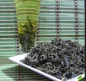 大葉劍鋒 大葉劍鋒