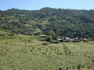 老左谷村 老左谷村