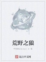 荒野之狼 荒野之狼