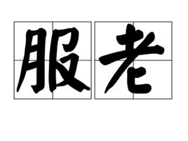 服老 服老