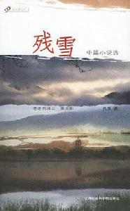 殘雪中篇小說選 殘雪中篇小說選