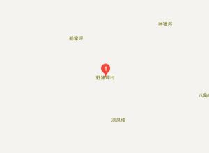 野豬坪村 野豬坪村