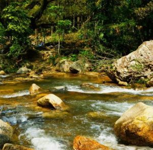 石門國家森林公園 石門國家森林公園