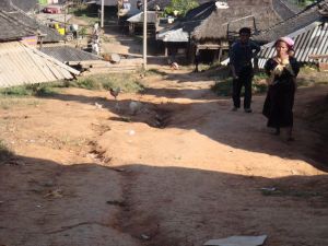 新南東自然村 新南東自然村