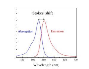 stokes位移 stokes位移