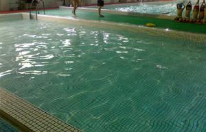 楊浦溫水游泳館 楊浦溫水游泳館