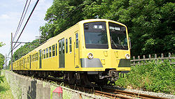 行駛在東村山市北山公園附近的黃色電車西武101系電車“青空快速”