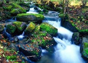 王村仙潭景區 王村仙潭景區