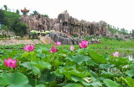 中原綠色莊園 中原綠色莊園