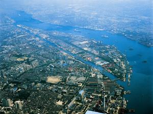 上海復興島公園