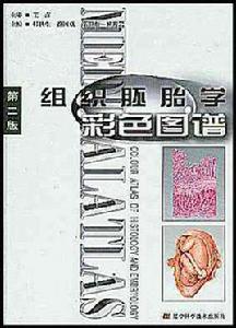組織胚胎學彩色圖譜 組織胚胎學彩色圖譜