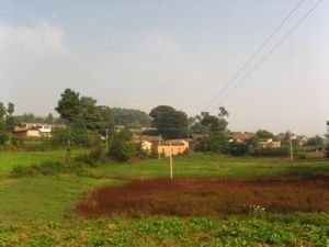 石洞水自然村 石洞水自然村