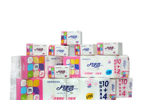 湖南盛順紙業有限公司 湖南盛順紙業有限公司