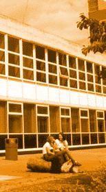 南埃塞克斯學院 南埃塞克斯學院