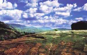 魯芒溝岩畫 魯芒溝岩畫