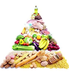 飲食營養學 飲食營養學