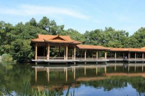 東坡山莊 東坡山莊