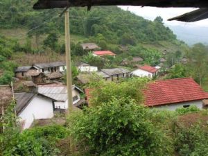 萊片上寨自然村 萊片上寨自然村